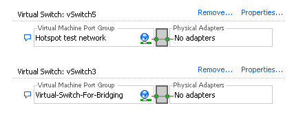 ESX Virtual networks